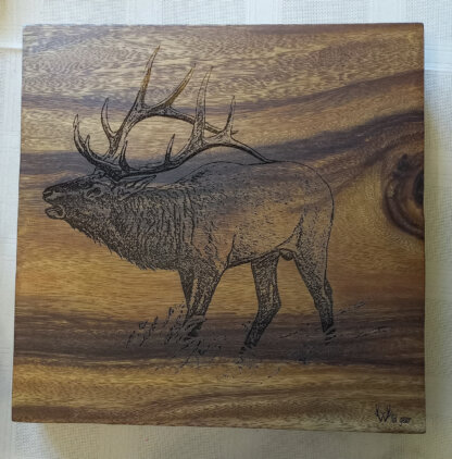 Square Wood Board Elk Bull Design